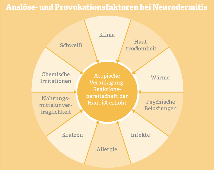 Grafik: Auslöse- und Provokationsfaktoren bei Neurodermitis